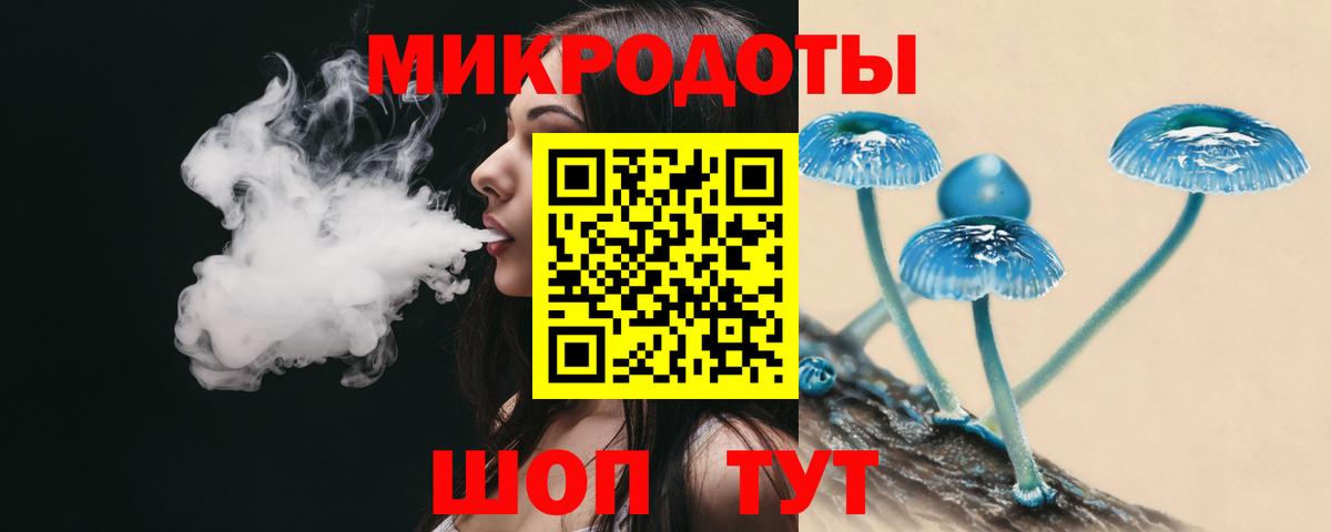 Галлюциногенные грибы Psilocybe Славгород